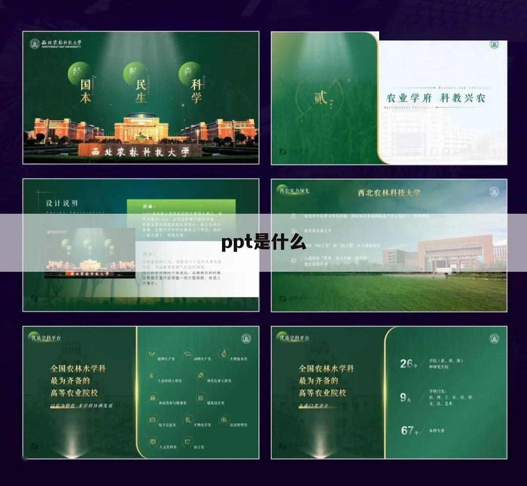 ppt是什么