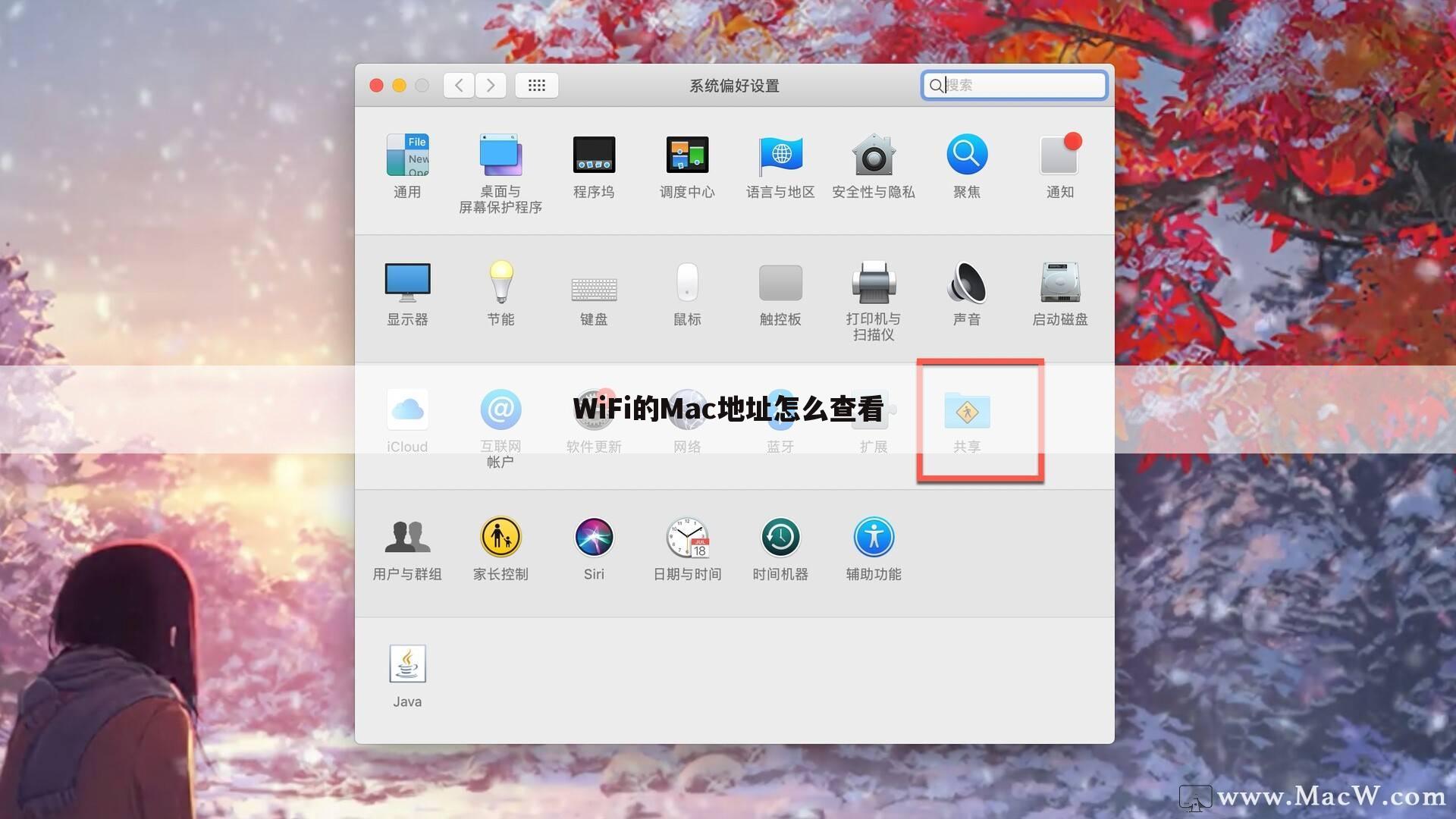 WiFi的Mac地址怎么查看