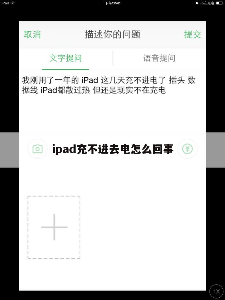 ipad充不进去电怎么回事