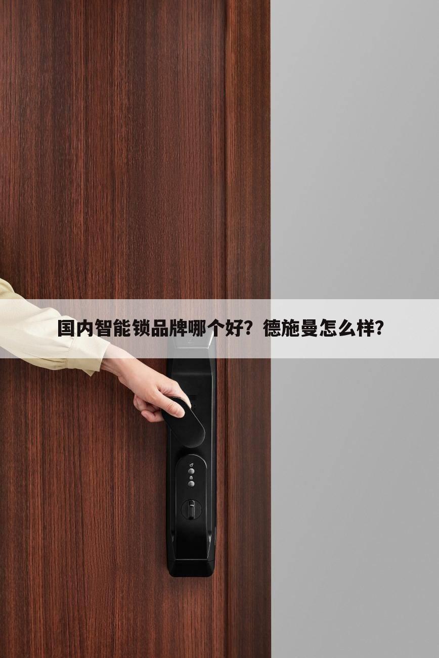 国内智能锁品牌哪个好？德施曼怎么样？