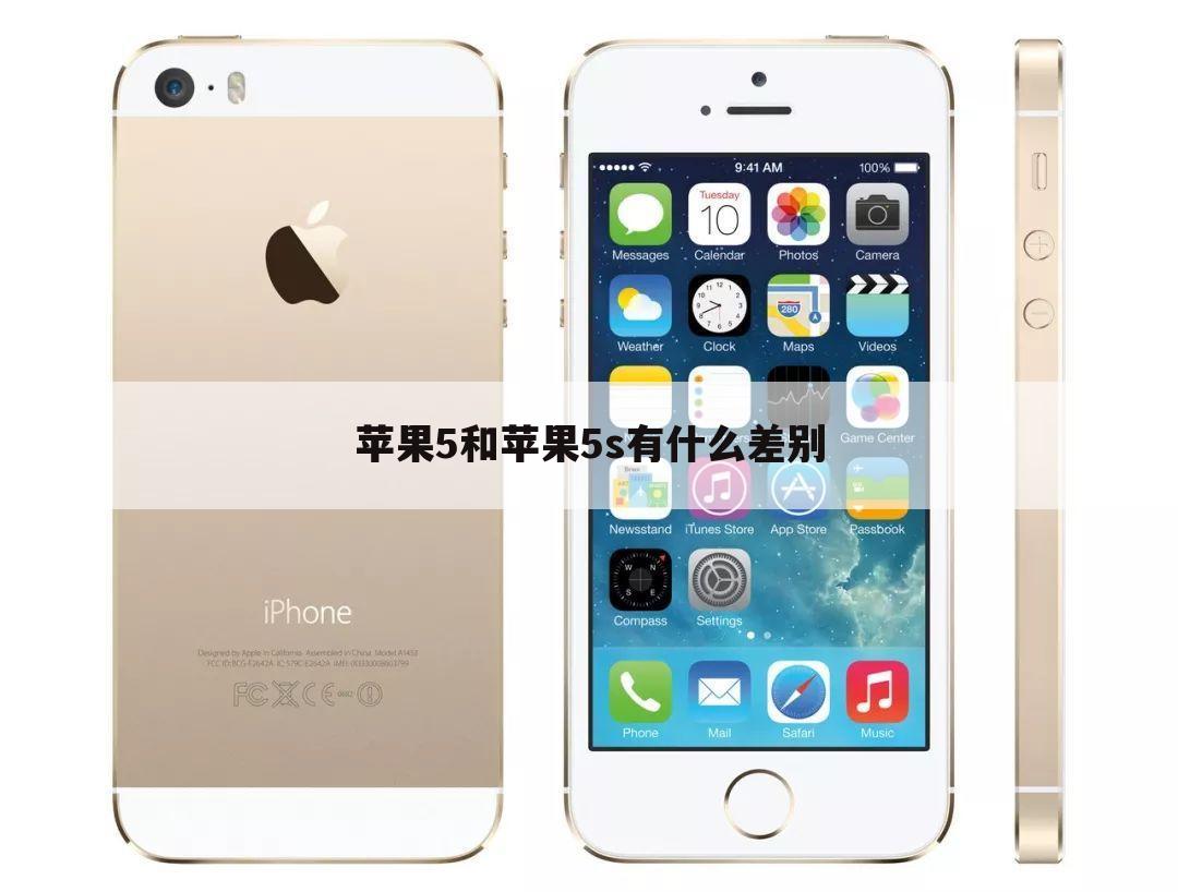 苹果5和苹果5s有什么差别