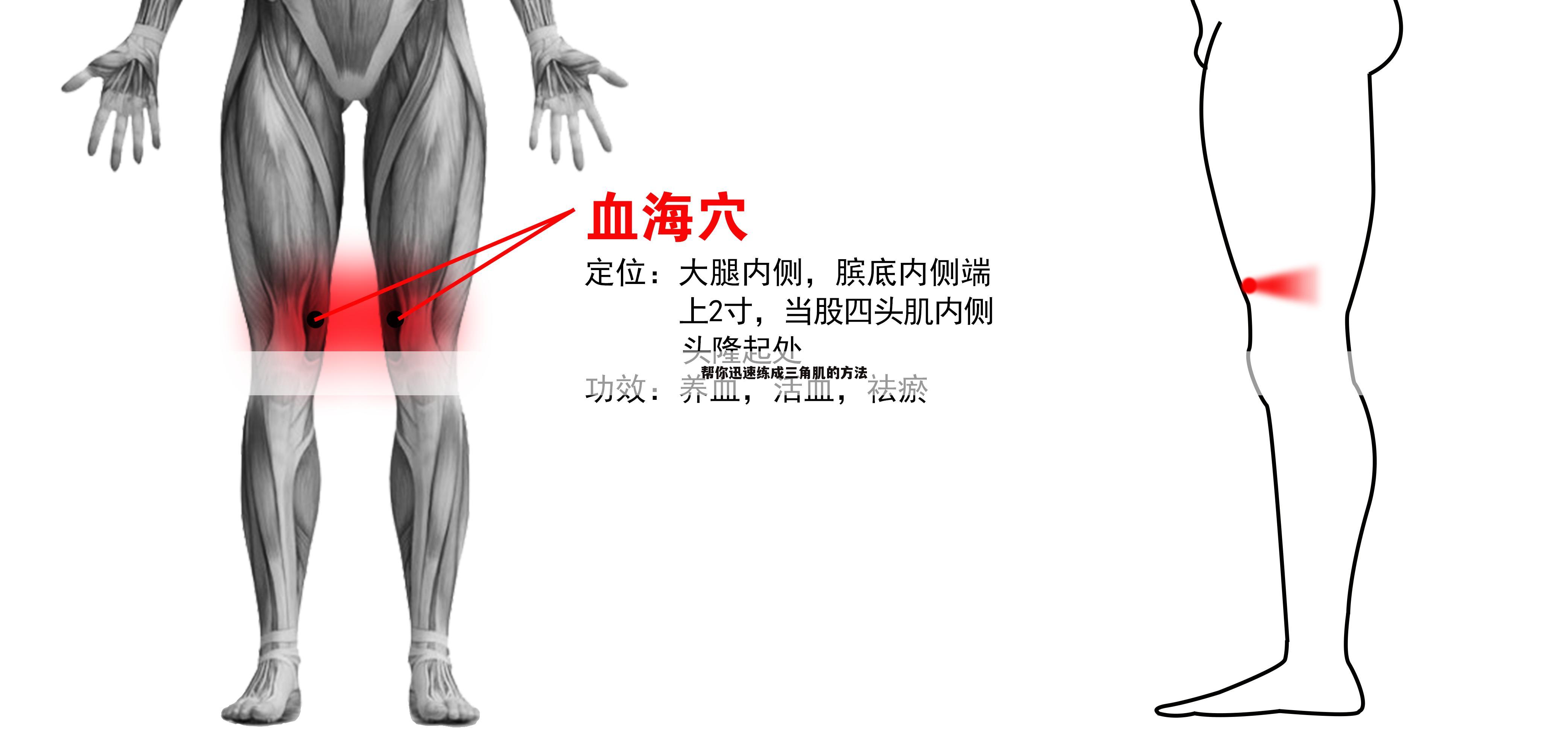 帮你迅速练成三角肌的方法