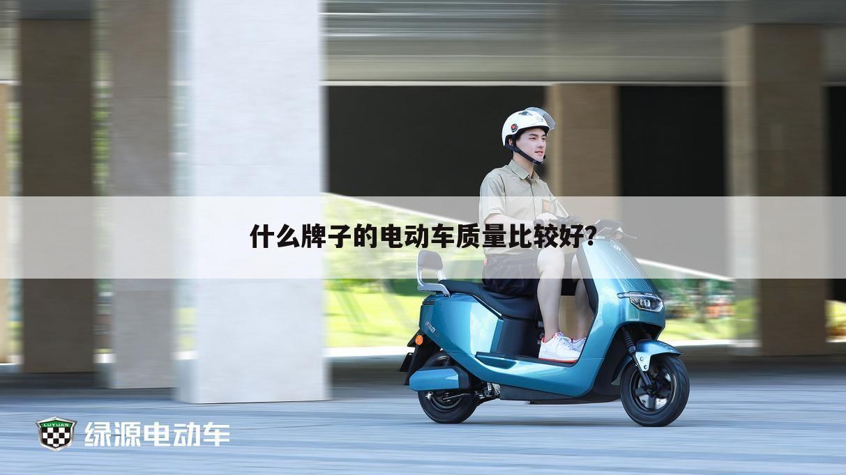什么牌子的电动车质量比较好?