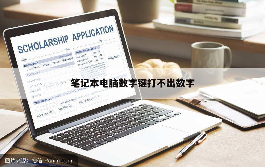 笔记本电脑数字键打不出数字