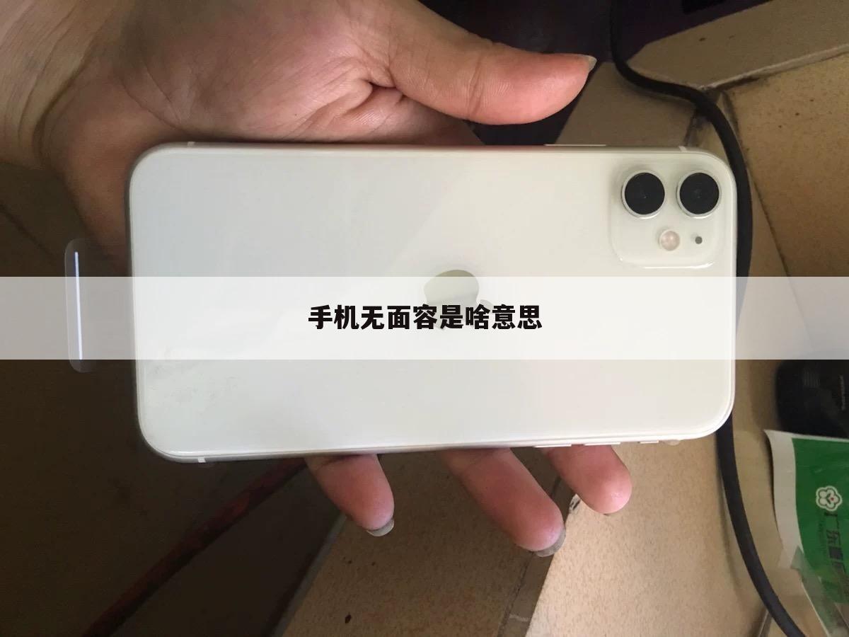 手机无面容是啥意思