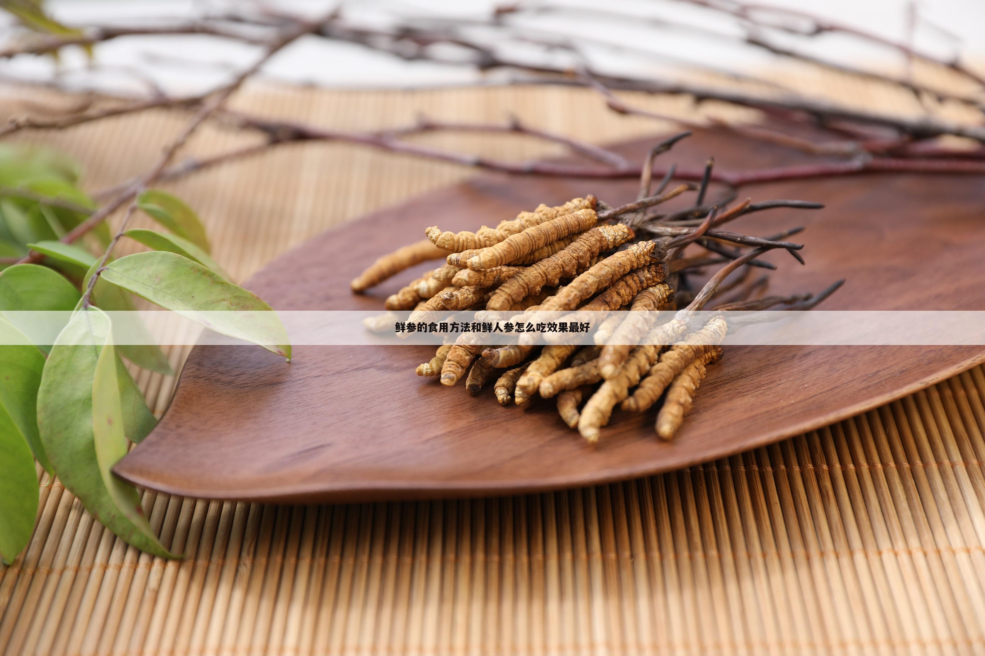 鲜参的食用方法和鲜人参怎么吃效果最好