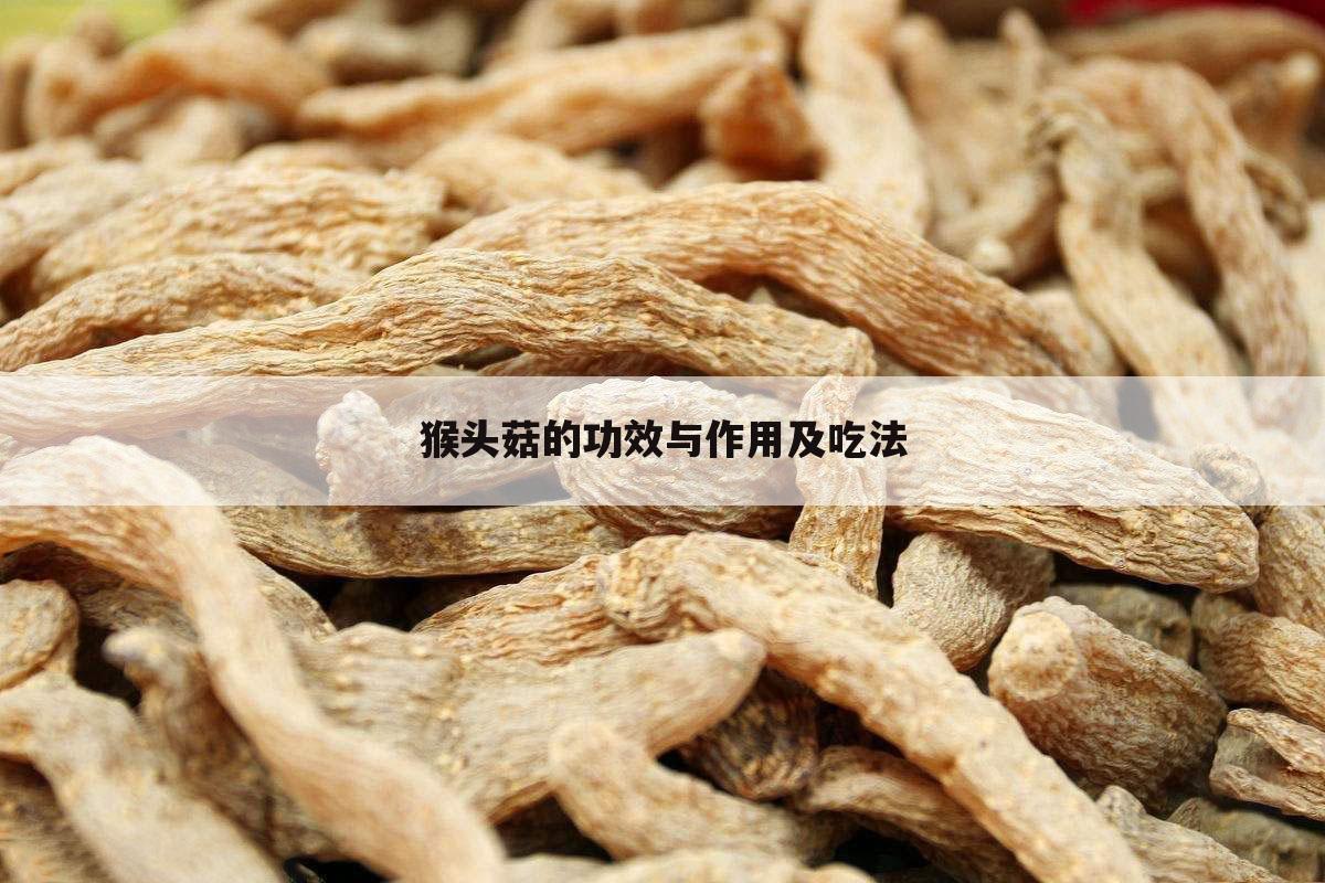 猴头菇的功效与作用及吃法
