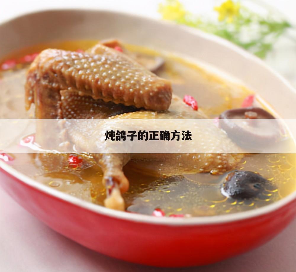 炖鸽子的正确方法