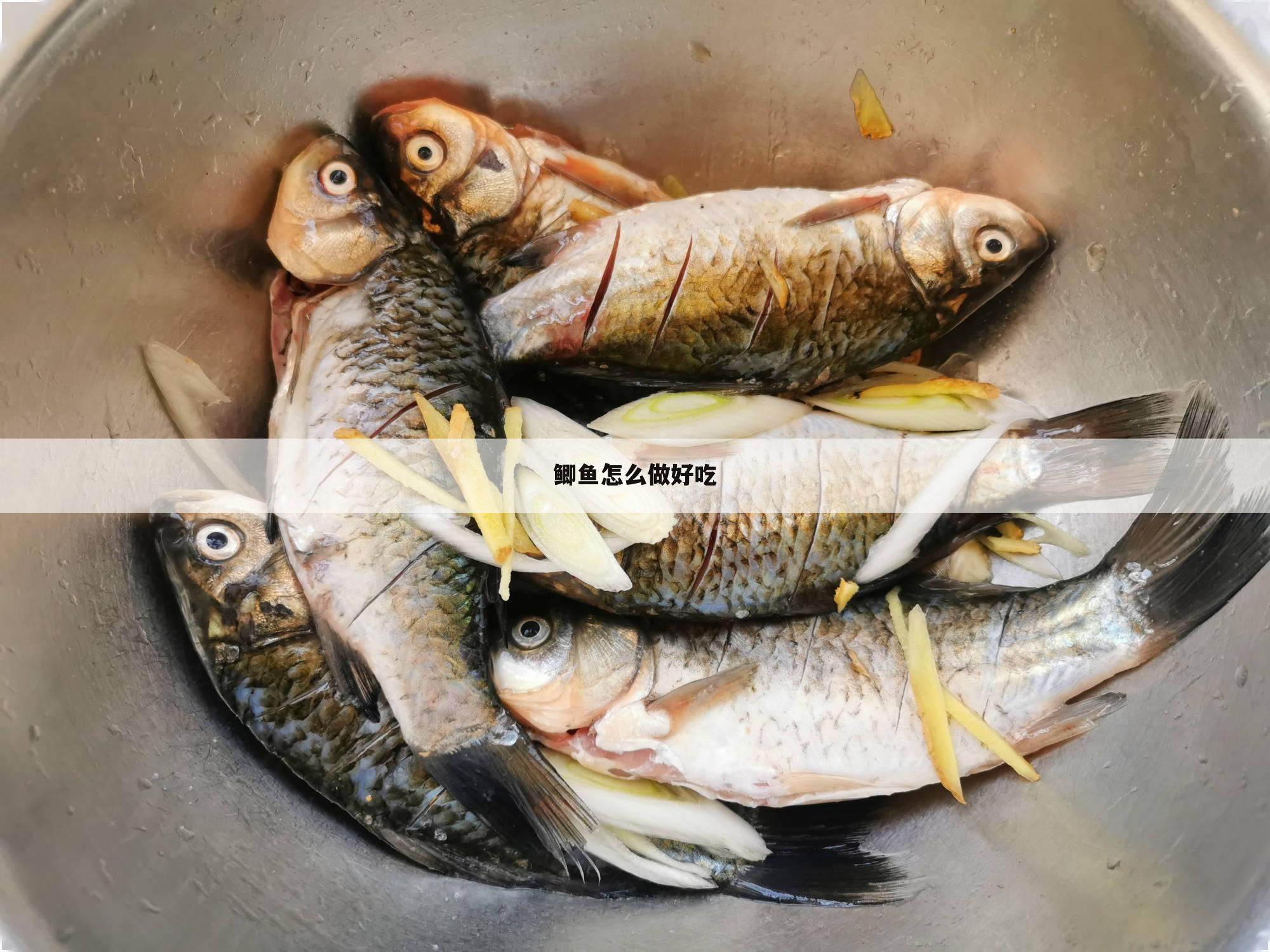 鲫鱼怎么做好吃
