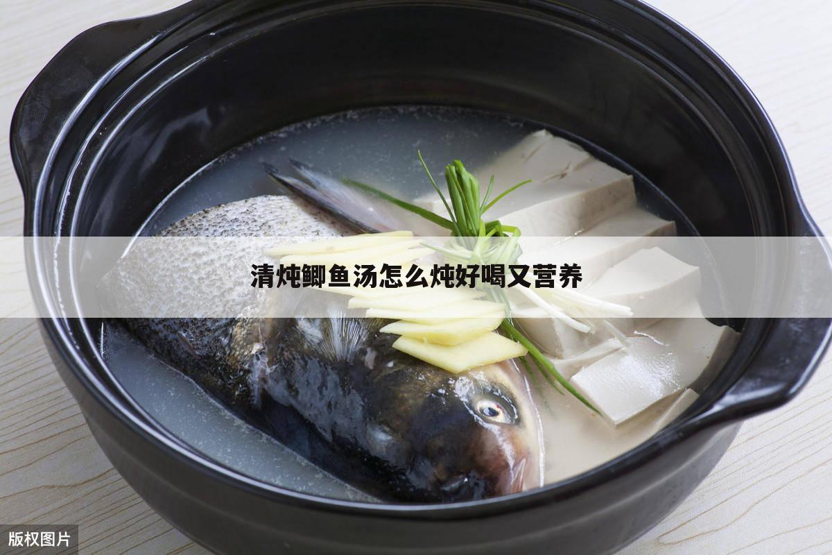 清炖鲫鱼汤怎么炖好喝又营养