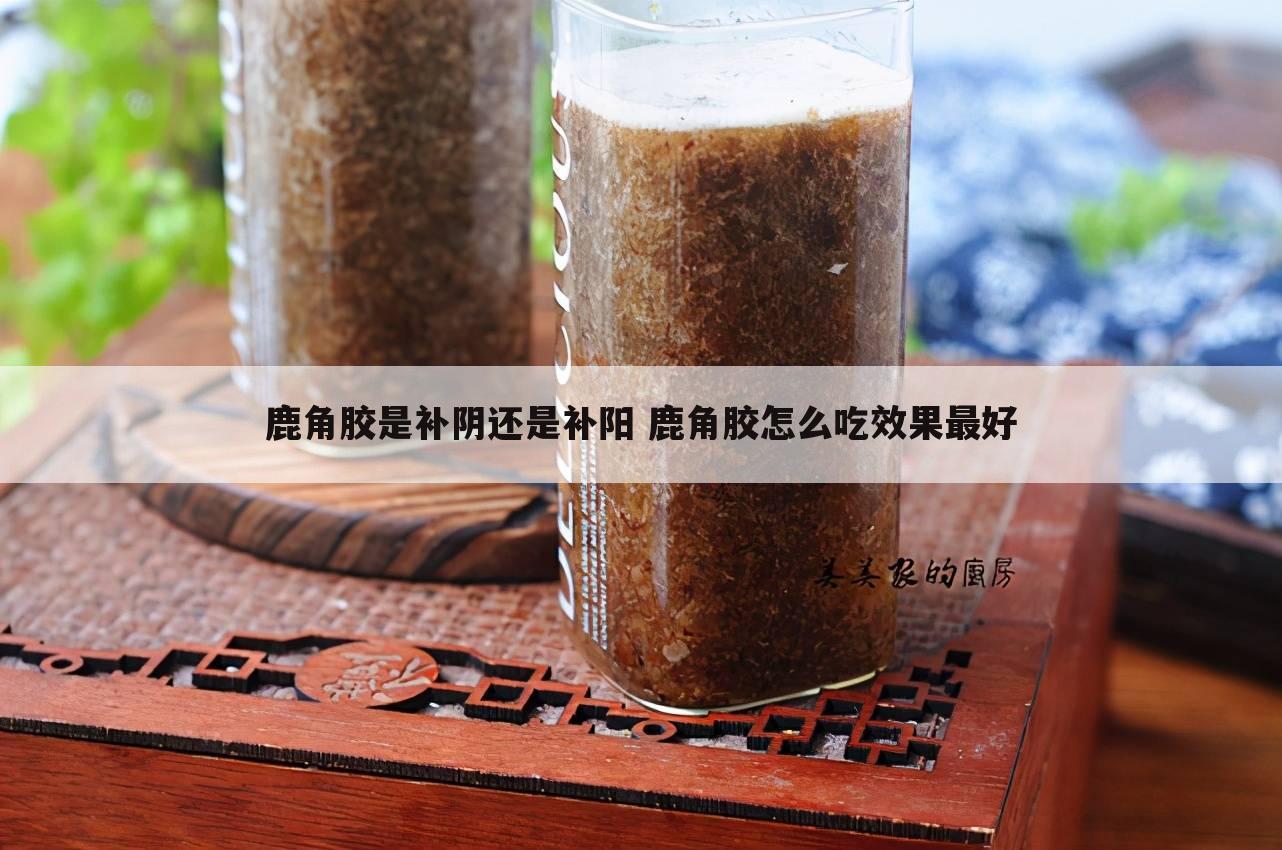 鹿角胶是补阴还是补阳 鹿角胶怎么吃效果最好