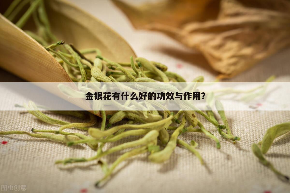 金银花有什么好的功效与作用？