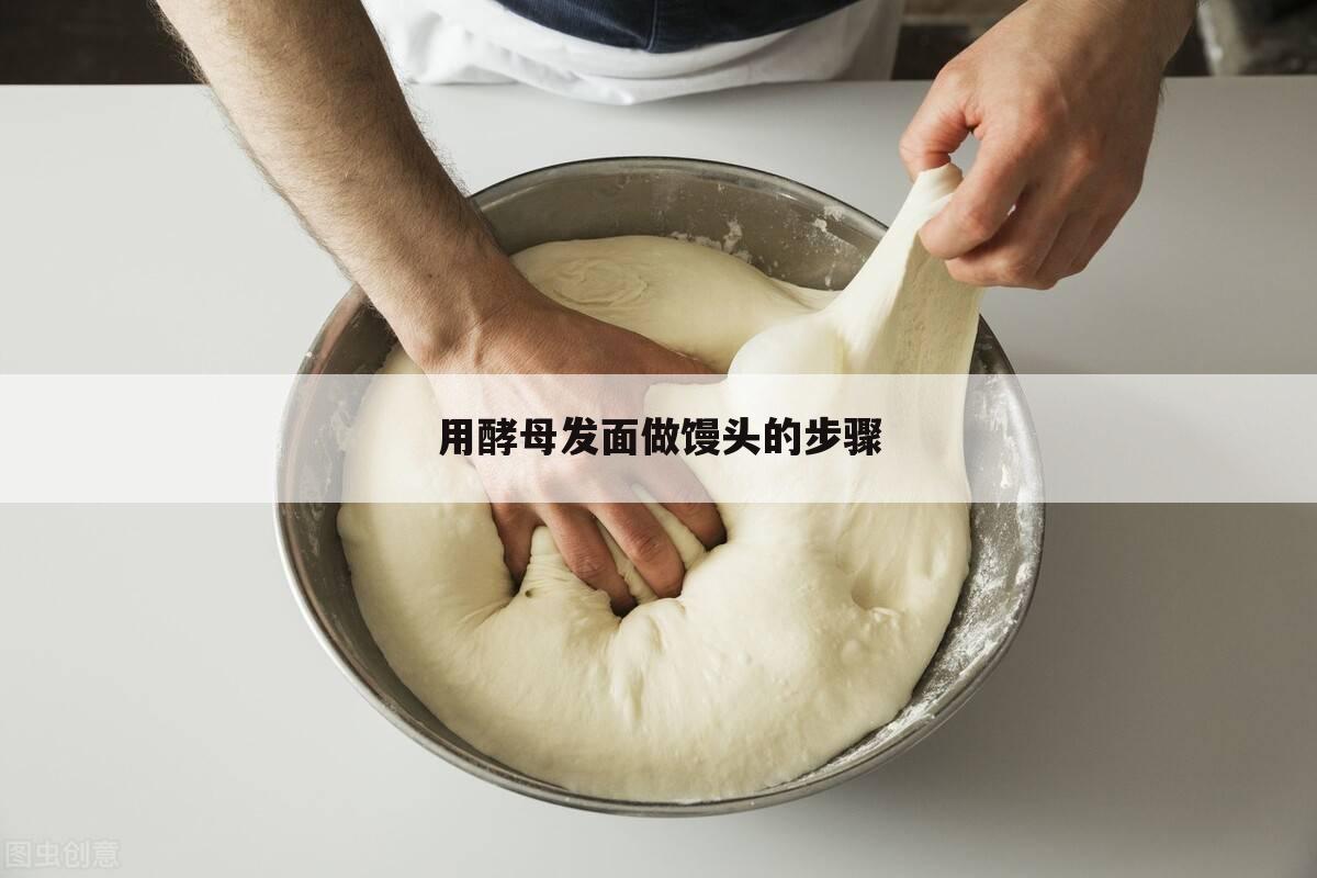 用酵母发面做馒头的步骤
