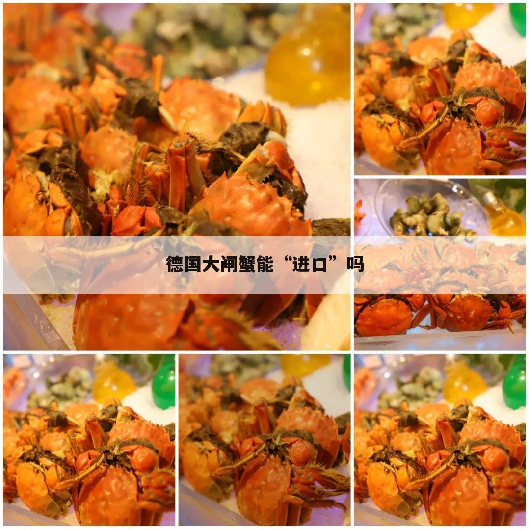 德国大闸蟹能“进口”吗