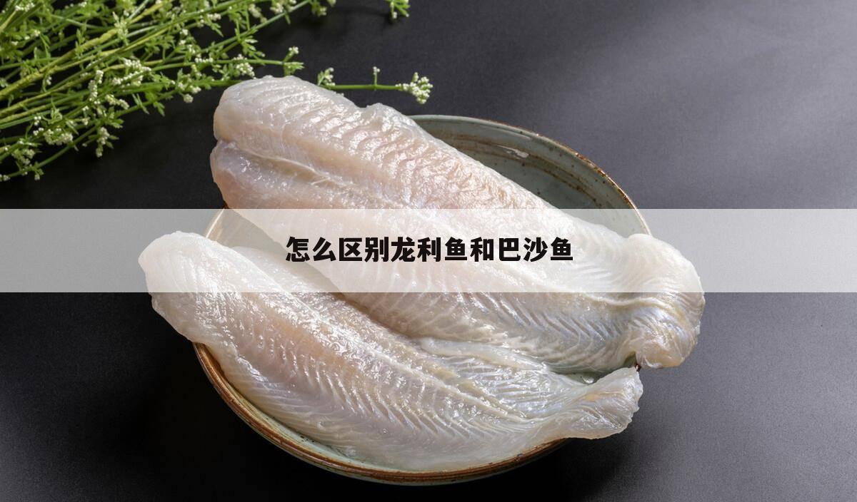 怎么区别龙利鱼和巴沙鱼