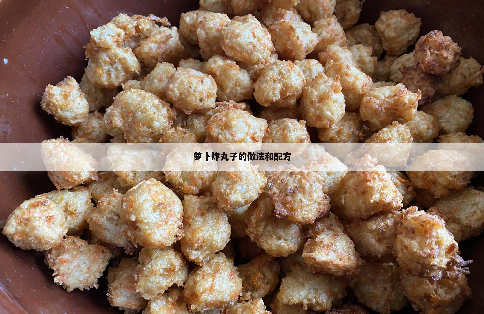 萝卜炸丸子的做法和配方