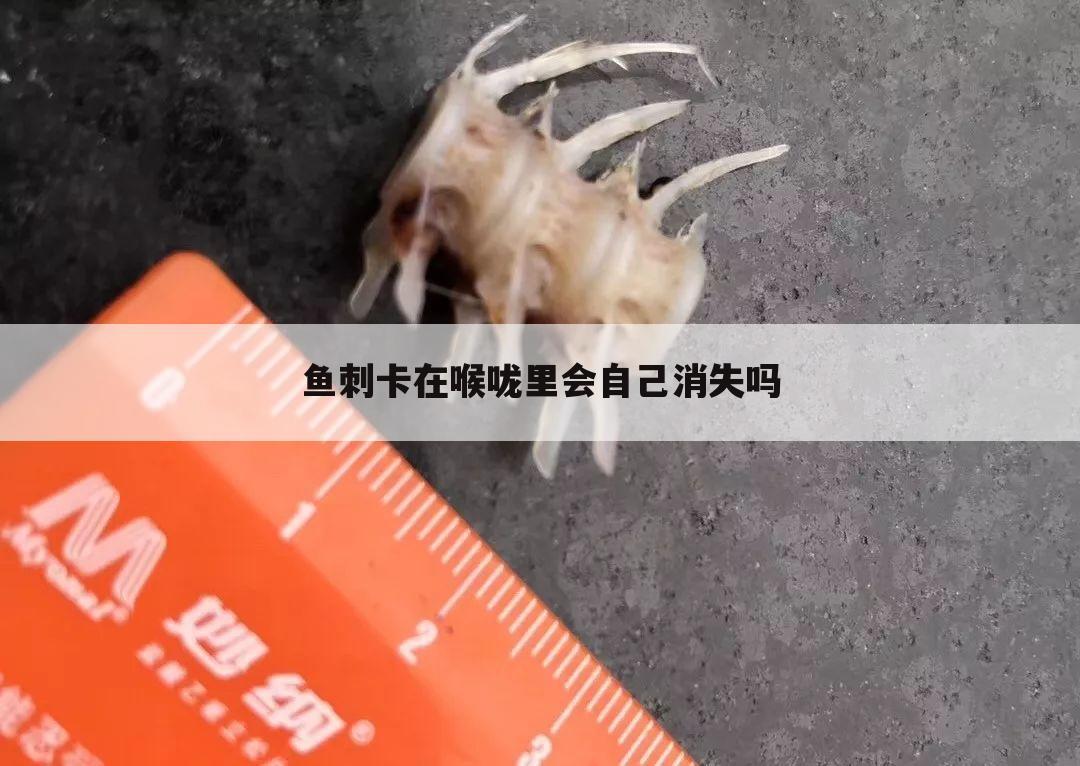 鱼刺卡在喉咙里会自己消失吗