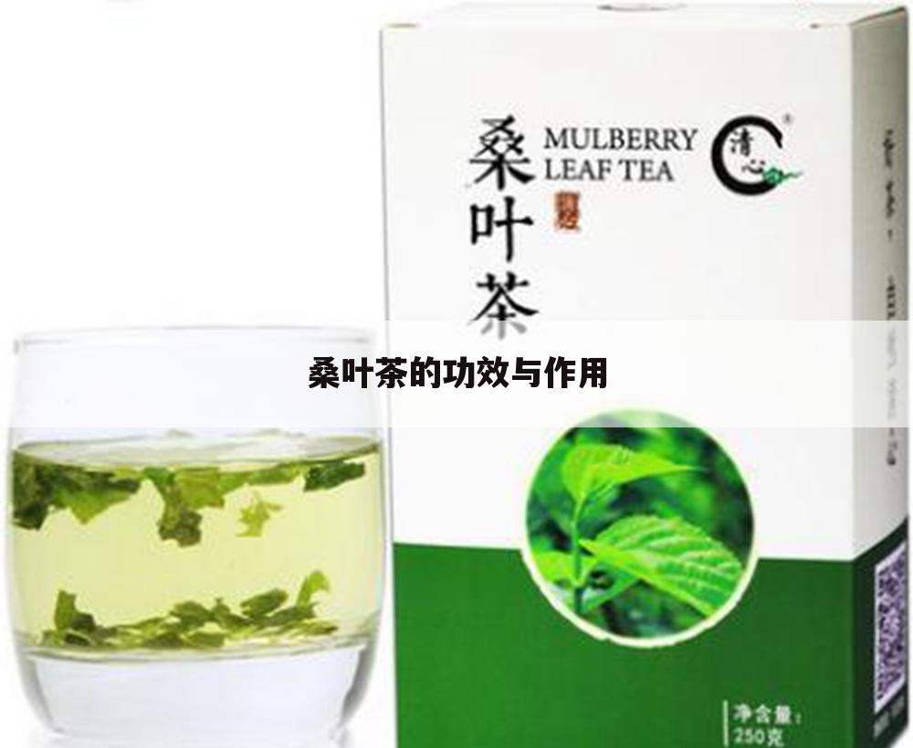 桑叶茶的功效与作用