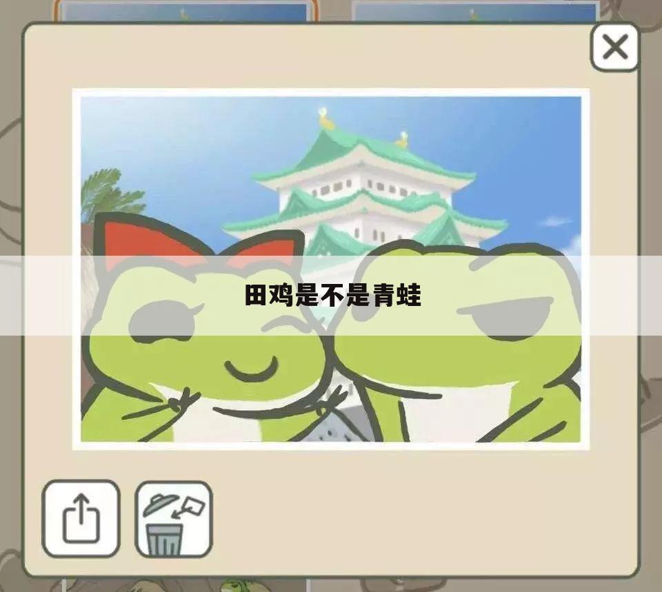 田鸡是不是青蛙