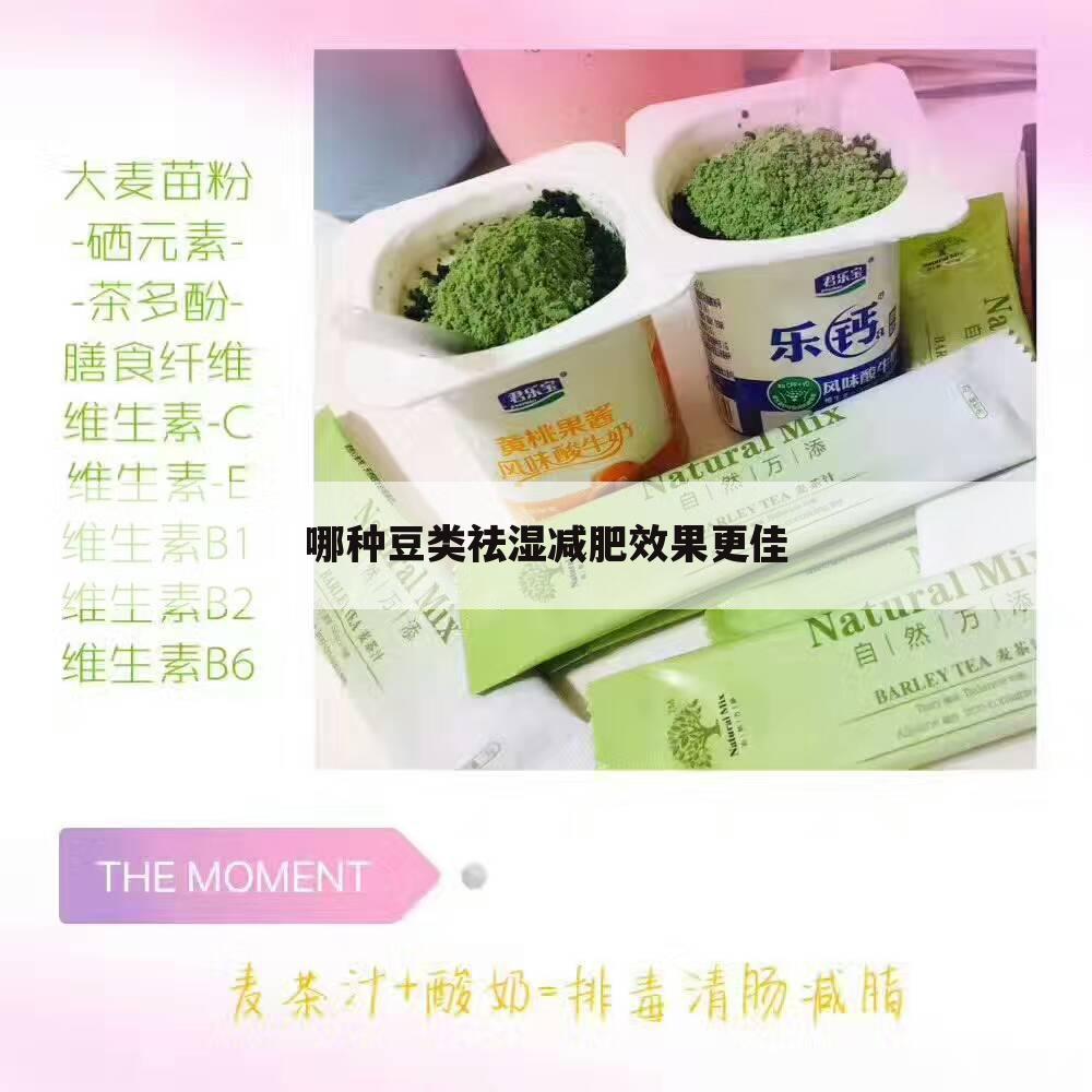 哪种豆类祛湿减肥效果更佳