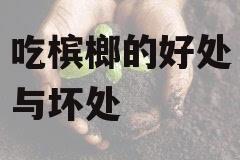 吃槟榔的好处与坏处