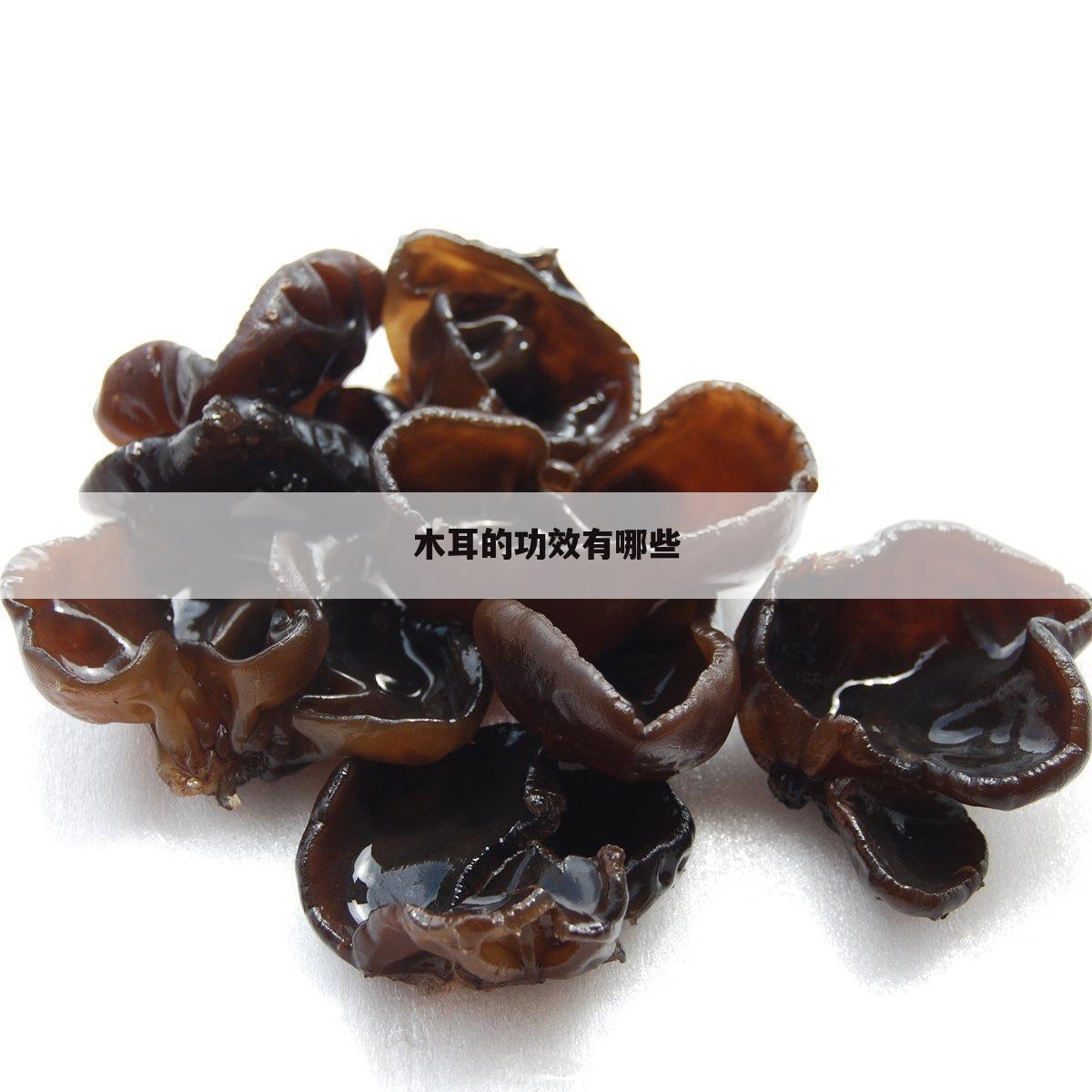 木耳的功效有哪些