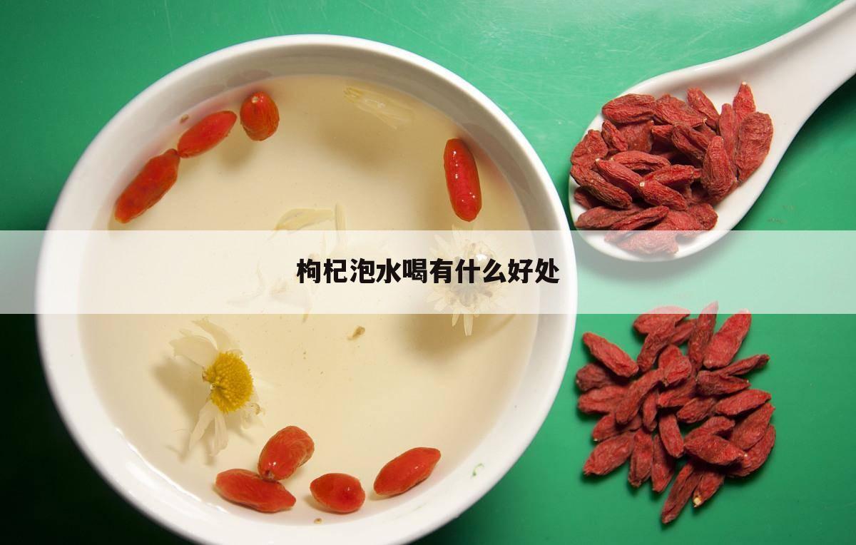枸杞泡水喝有什么好处