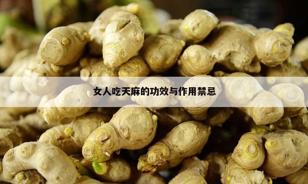 女人吃天麻的功效与作用禁忌