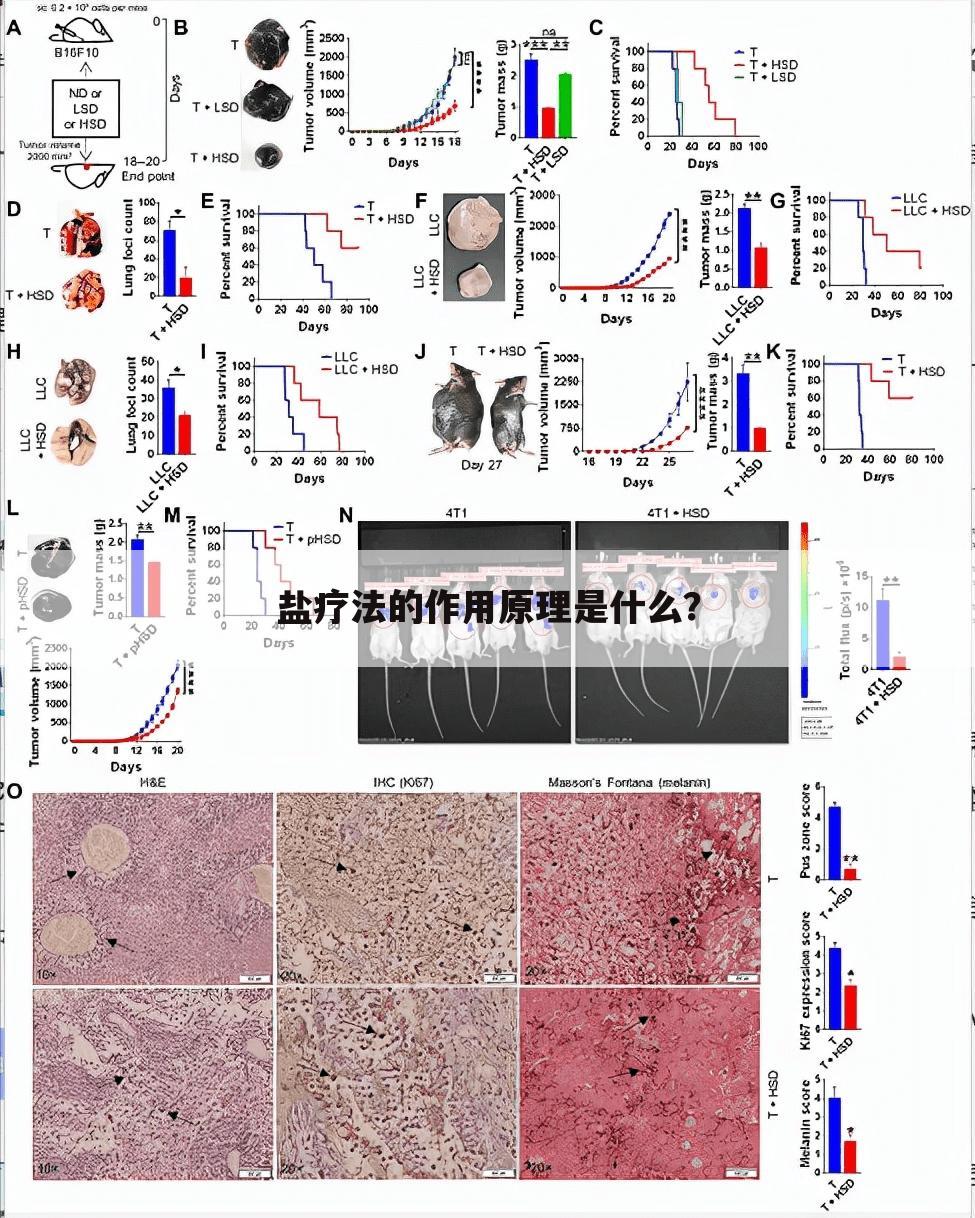 盐疗法的作用原理是什么?