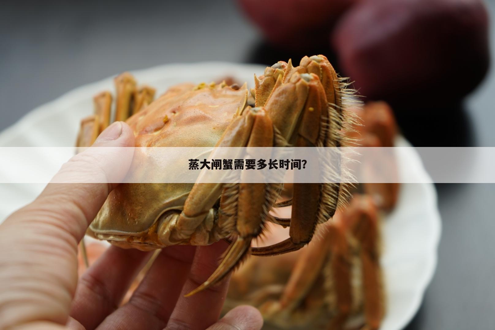 蒸大闸蟹需要多长时间?