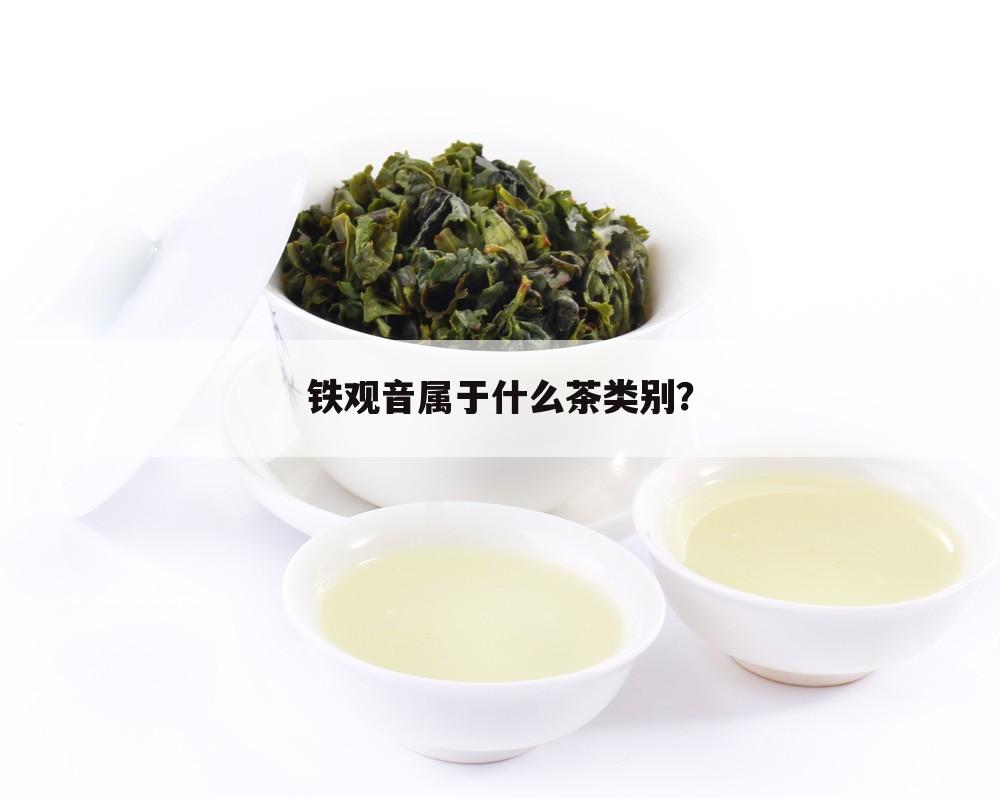 铁观音属于什么茶类别?