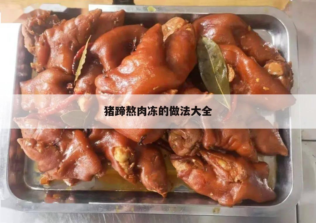 猪蹄熬肉冻的做法大全