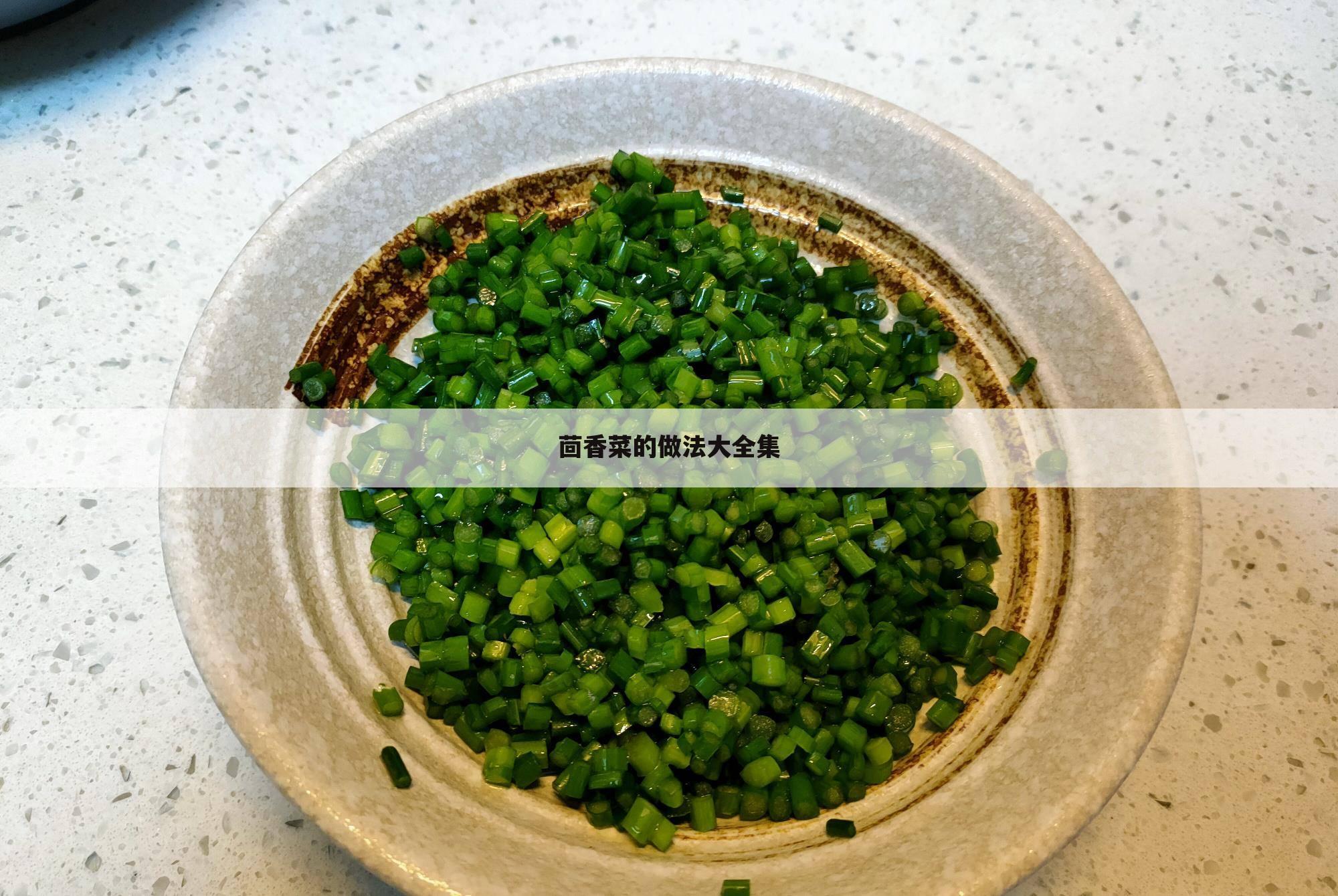 茴香菜的做法大全集