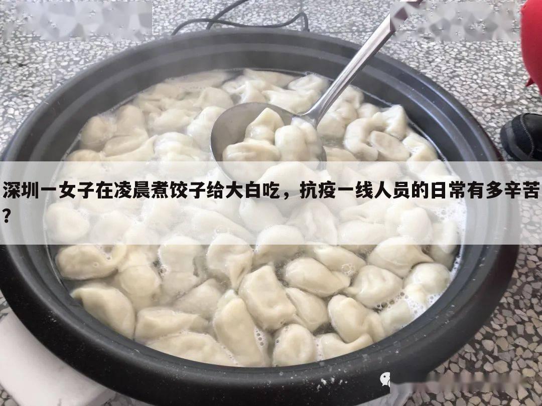 深圳一女子在凌晨煮饺子给大白吃,抗疫一线人员的日常有多辛苦?