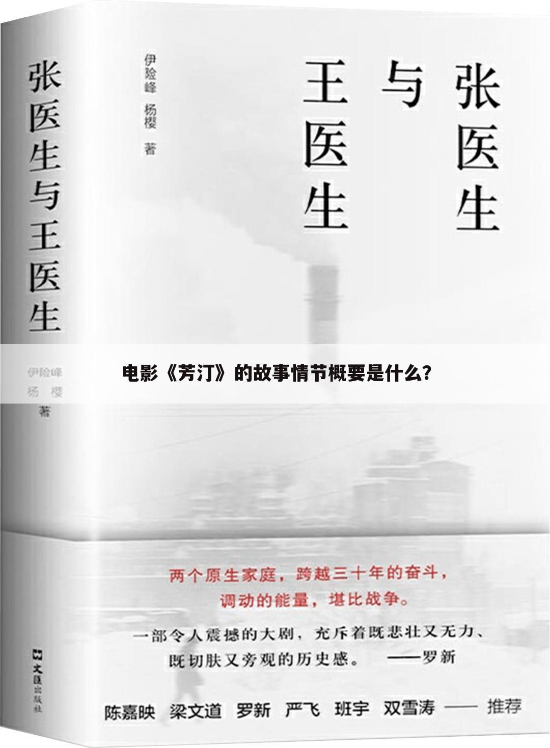 电影《芳汀》的故事情节概要是什么?