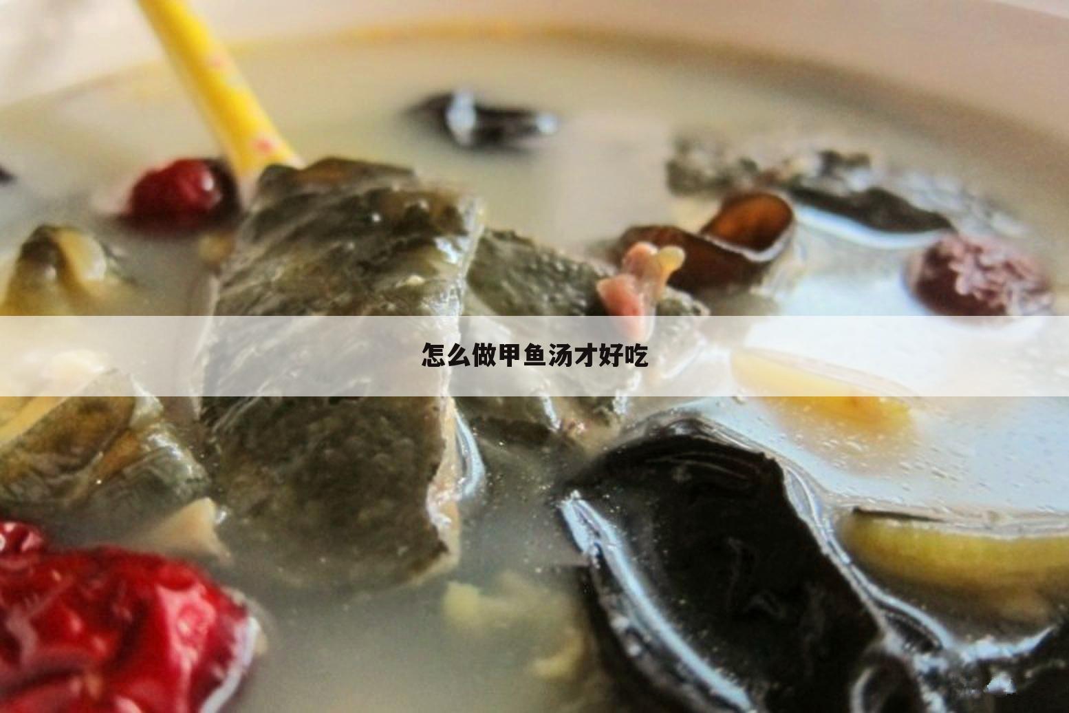 怎么做甲鱼汤才好吃