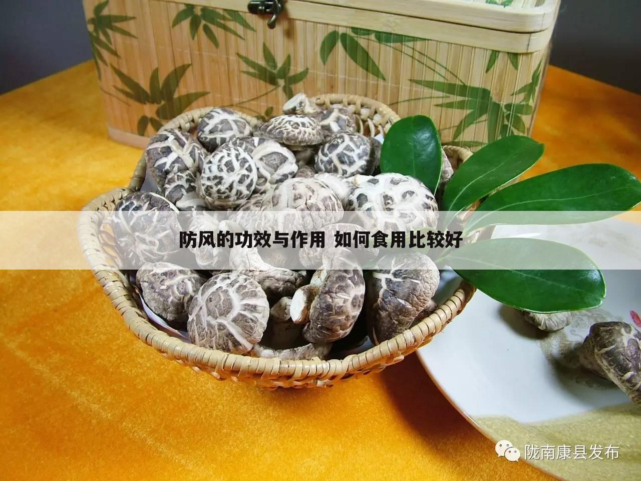 防风的功效与作用 如何食用比较好