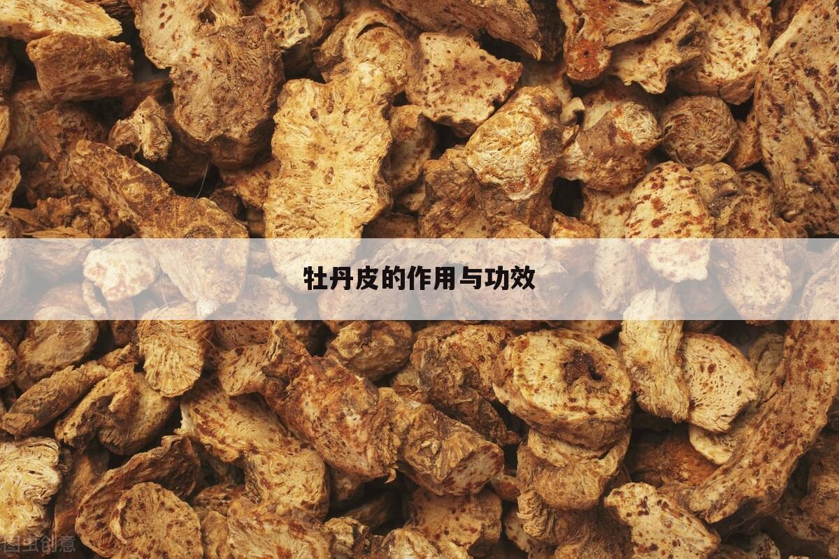 牡丹皮的作用与功效