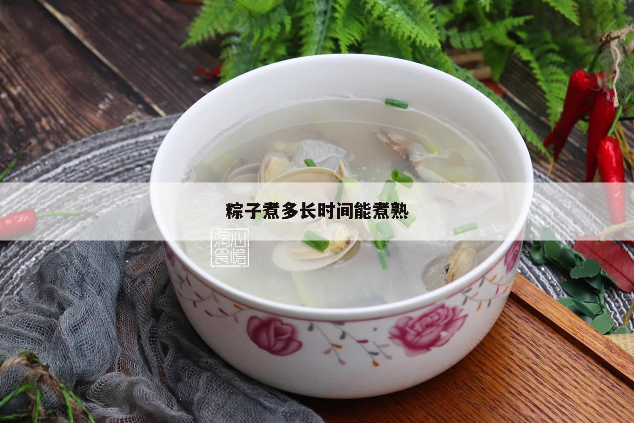 粽子煮多长时间能煮熟