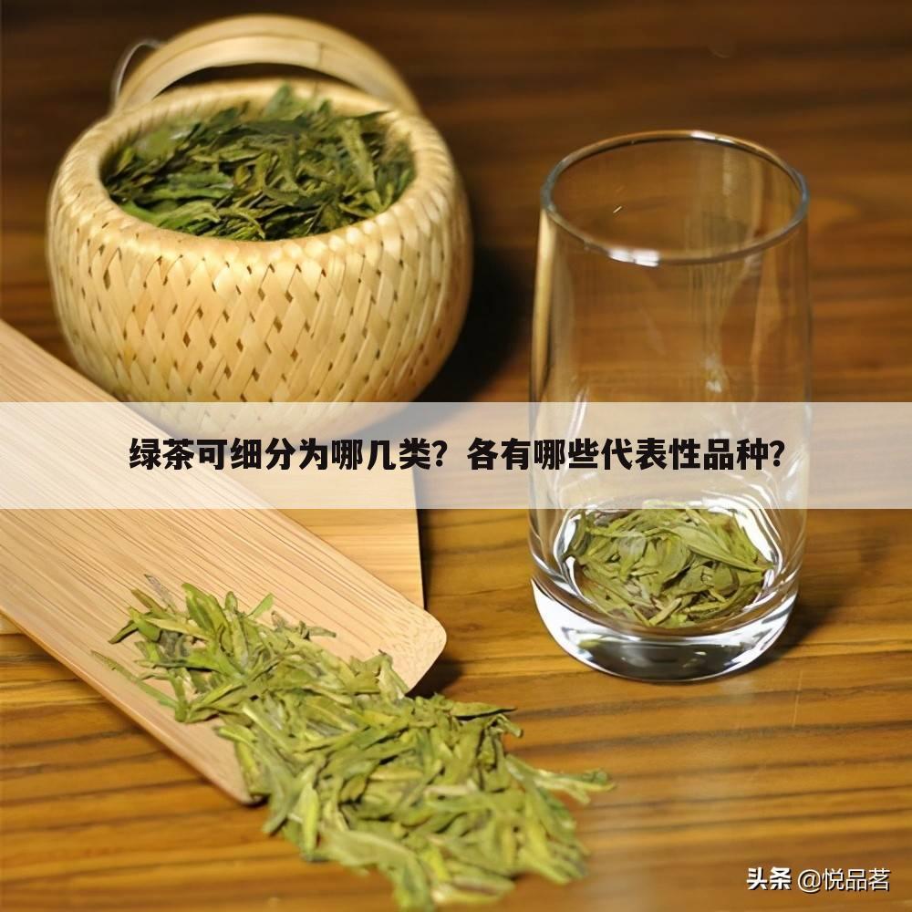 绿茶可细分为哪几类？各有哪些代表性品种？