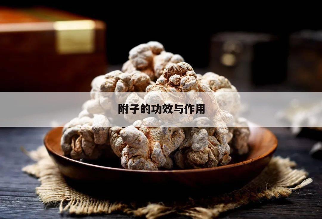 附子的功效与作用