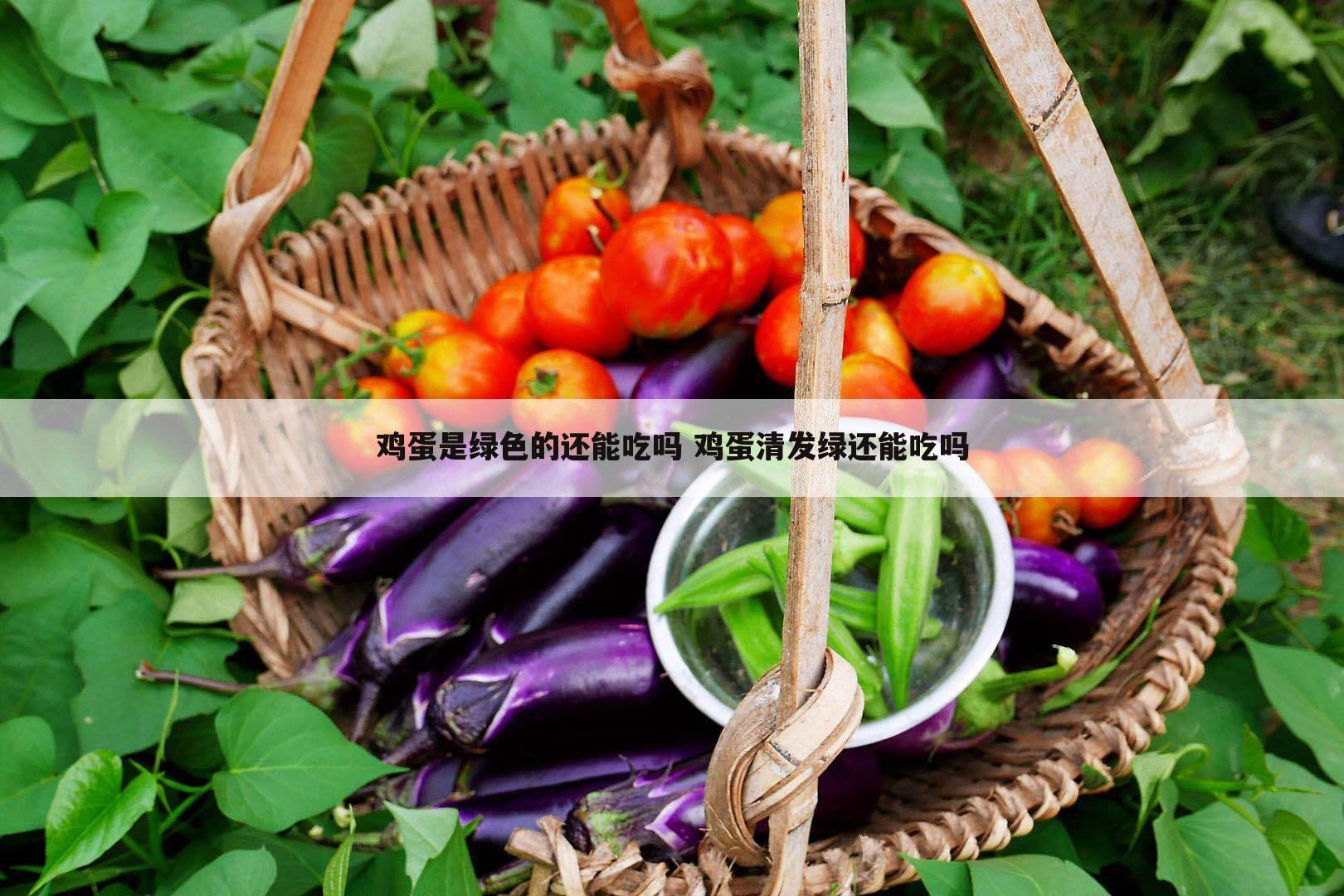 鸡蛋是绿色的还能吃吗 鸡蛋清发绿还能吃吗