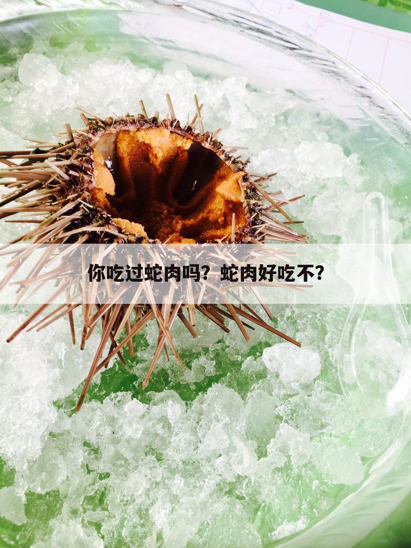 你吃过蛇肉吗?蛇肉好吃不?