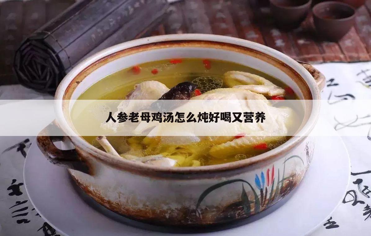 人参老母鸡汤怎么炖好喝又营养