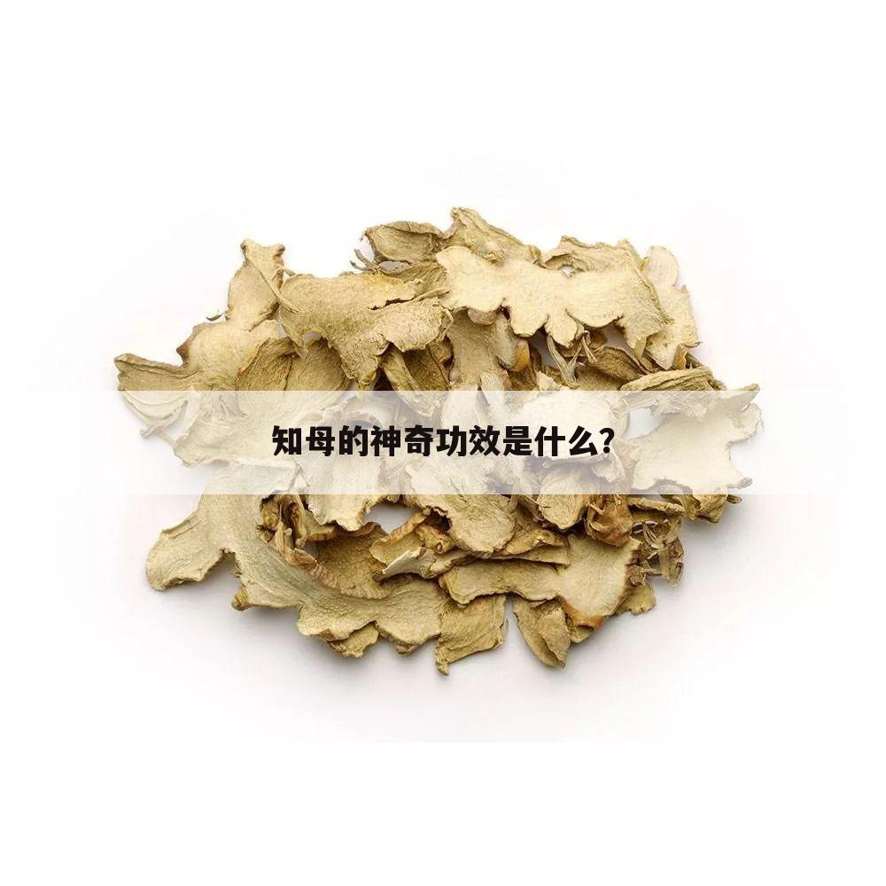 知母的神奇功效是什么?