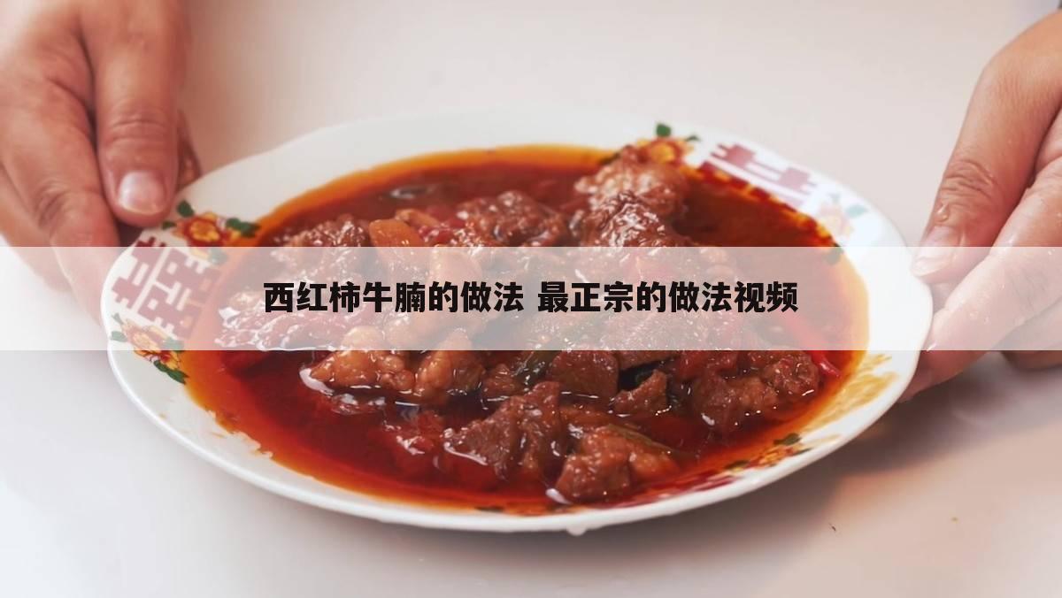 西红柿牛腩的做法 最正宗的做法视频