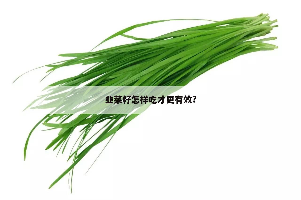韭菜籽怎样吃才更有效?