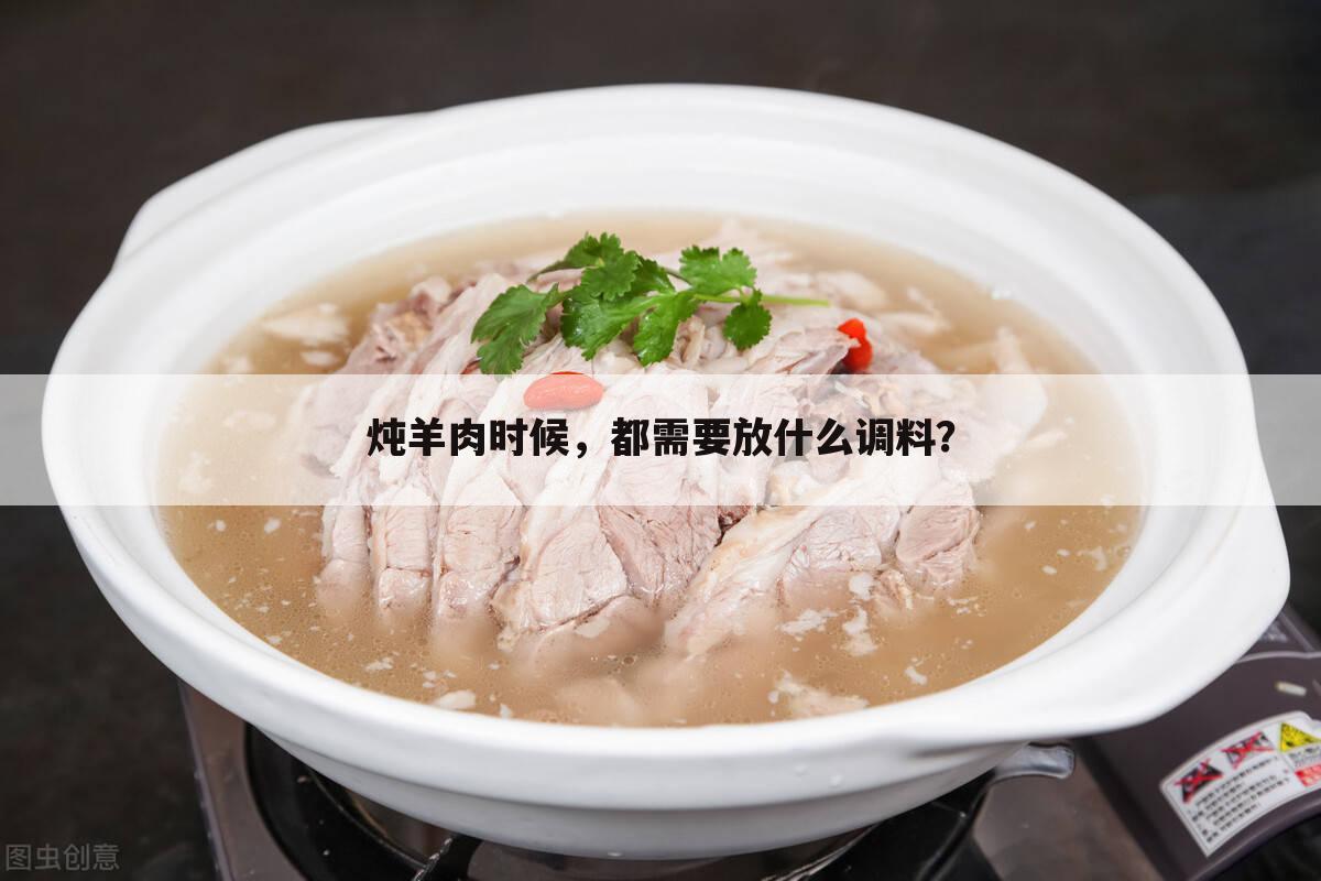 炖羊肉时候,都需要放什么调料?