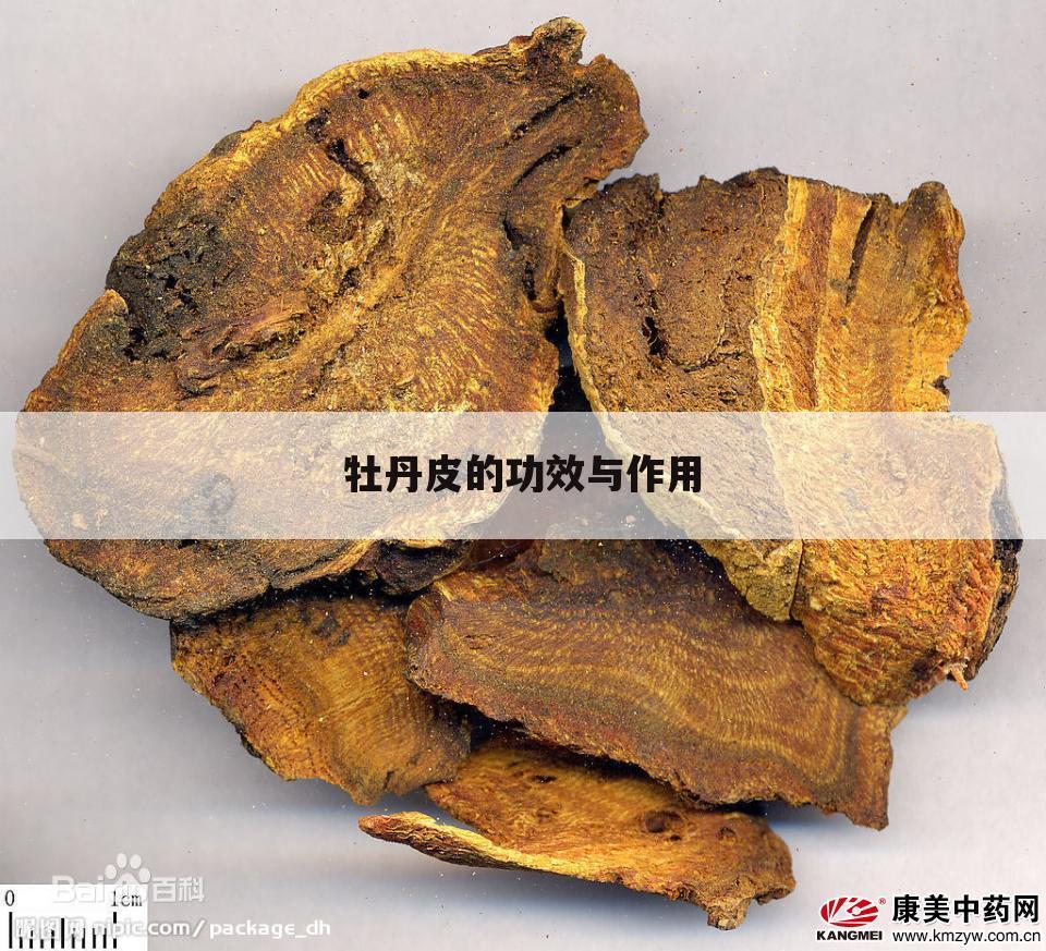 牡丹皮的功效与作用