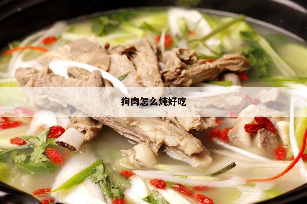 狗肉怎么炖好吃